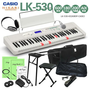 JVI L[{[h LK-530u{̗pƃX^hp2ނ̃P[XtZbgvir CASIO LK-335̏ʋ@ 錮 LK-520̌p@ sAm q