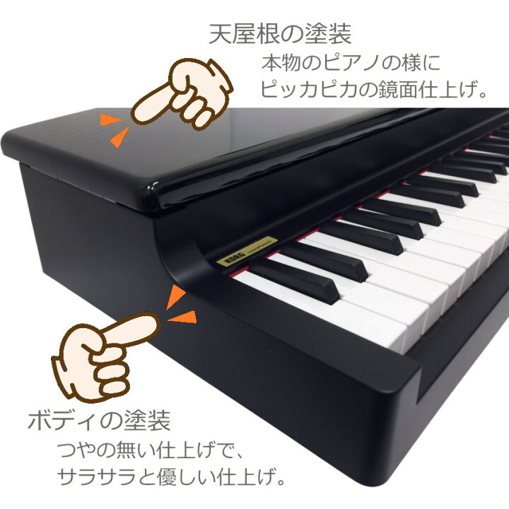 楽天市場】KORG microPIANO BK コルグ ピアノ型キーボード ブラック 