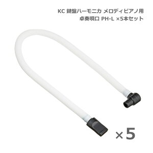 KC Ճn[jJ fBsAm P3001p tS PH-L ×5{Zbg ㉉t L[cR[|[V