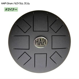 HAPI Drum スリム 【Aマイナー】 ハピドラム スリットドラム