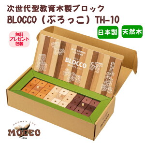 ^ؐubN ͗l ̍ R} pYV n͂L BLOCCOiԂjTH-10 Mtgt vl W n Ƒn ԔF mߋ