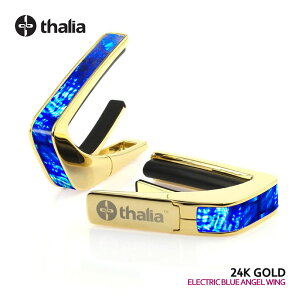 Thalia Capos ^AJ| Exotic Shell Series ELECTRIC BLUE ANGEL WING