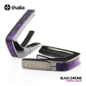 yX[p[SALEző1000~OFFN[|Thalia Capos ^AJ| Exotic Shell Series PURPLE PAUA thalia capo J|^Xg