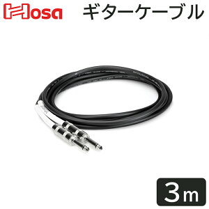 HOSA 3m SS M^[P[u GTR-210