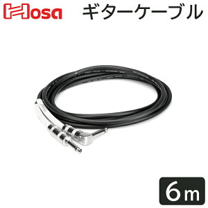 HOSA 6m SL M^[P[u GTR-220R