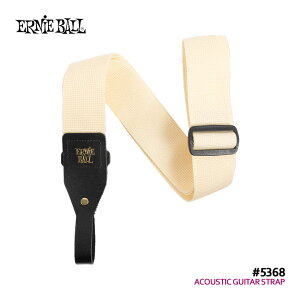ERNiE BALL AR[XeBbNM^[pXgbv #5368 CREAM N[ A[j[{[y[֑z