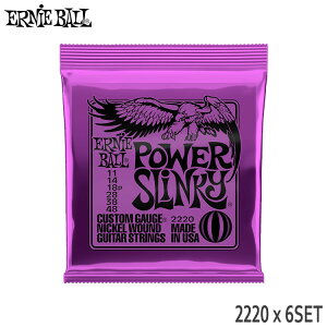 GLM^[ A[j[{[ 2220 6Zbg 11-48 p[XL[ ERNiE BALLy[֑z
