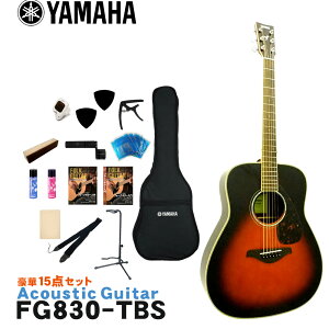 YAMAHA AR[XeBbNM^[ S15_Zbg FG830 TBS }n tH[NM^[