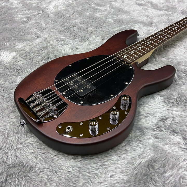 楽天市場】Sterling by MUSIC MAN エレキベース Ray4 Walnut Satin 