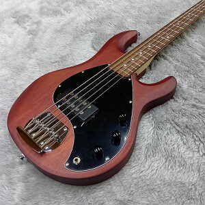 Sterling by MUSIC MAN �x�[�X�M�^�[ �G���L�x�[�X Ray5 Walnut Satin 5���x�[�X �X�e�B���O���C �X�^�[����