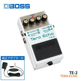 純正ACアダプター付き BOSS テラエコー TE-2 Tera Echo ボスコンパクトエフェクター