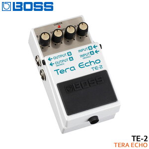 BOSS eGR[ TE-2 Tera Echo {XRpNgGtFN^[