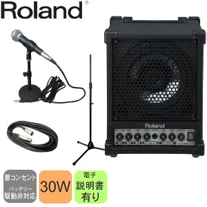 yX[p[SALEző1000~OFFN[|L}CN1{Eo30WcXs[J[Zbg Roland NA[ȉ̑ړIXs[J[CM-30(ÂȎ60ċK)Cxgɂ