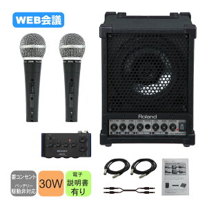 Roland 簡易PAセット ハイブリッド会議向きセット 有線マイク2本付