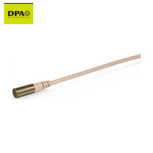 yב҂izDPA CORE 6061 ^}CN x[W ኴx (~jvO)