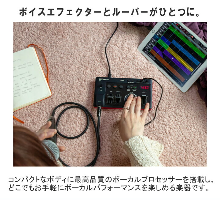 楽天市場】Roland AIRA Compact E-4 ( VOICE TWEAKER ) : 楽器のこと 