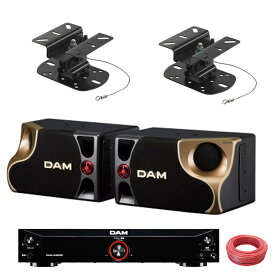 DAM 業務用カラオケスピーカー DDS65G + DAM 純正パワーアンプセット