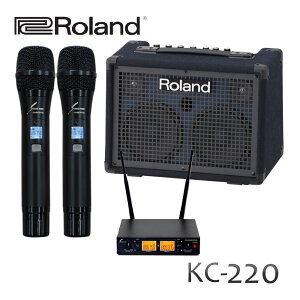 CX}CN2{t Roland KC-220 L[{[hAvPAZbg