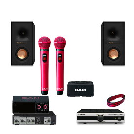 DAM ピンク ワイヤレスマイク2本 カラオケセット Klipsch製オーディオスピーカー + 低遅延アンプセット