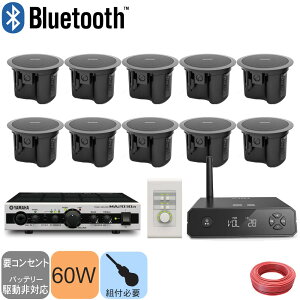 BOSE �V�䖄���^�X�s�[�J�[ �I�ׂ�I�v�V����(1�{�`10�{/Bluetooth/�R���g���[���[)