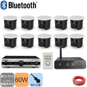 BOSE �V�䖄���^�X�s�[�J�[ �I�ׂ�I�v�V����(1�{�`10�{/Bluetooth/�R���g���[���[)