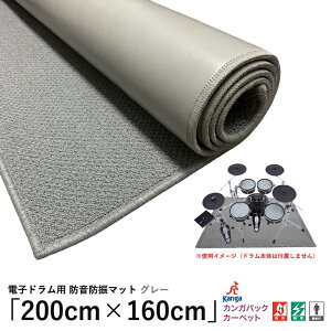 �d�q�h�����h�� �d�q�h�����h�U �h���}�b�g �h�U�}�b�g �O���[ ����y��2��F200cm×160cm�z�h���W���[�^�� �d�q�h�����p TDM-20���傫�� �h���J�[�y�b�g FGC-TDM-200-160 �h���O�~