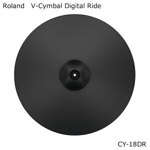 Roland CY-18DR V-Cymbal Digital Ride/[h VVoEfW^ECh 18C` Gh