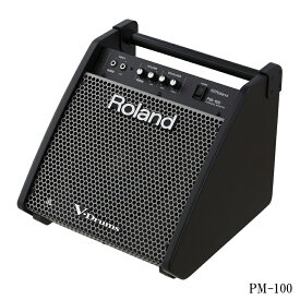 Roland ローランド PM-100 パーソナルモニタースピーカー Personal Monitor エレドラ