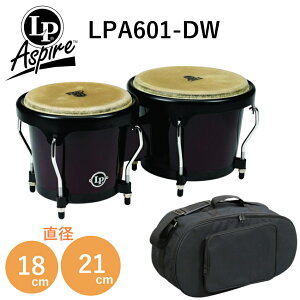 LP LPA601-DW �_�[�N�E�b�h Aspire �E�b�h�{���S �{���S�P�[�X�t��