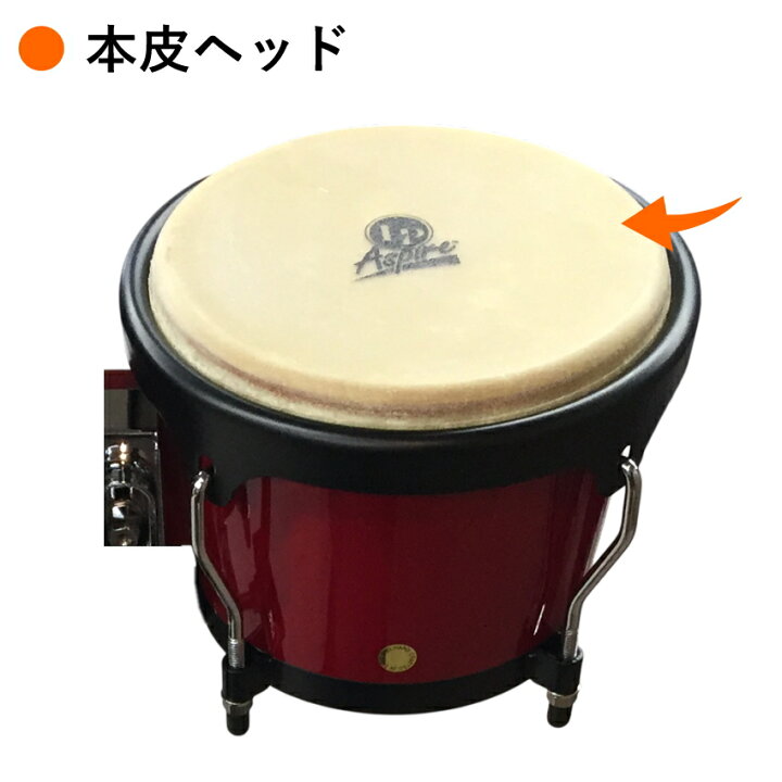 楽天市場】LP LPA601-RW レッドウッド Aspire ウッドボンゴ ボンゴ 