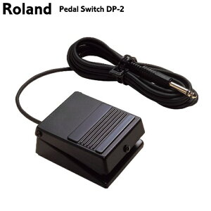 Roland�F�y�_���E�X�C�b�` DP-2�����[�����h�F�_���p�[�X�C�b�`