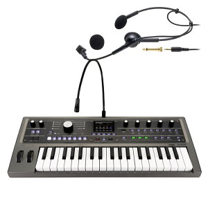 KORG RpNgVZTCU[ micro KORG2 wbh}CNZbg