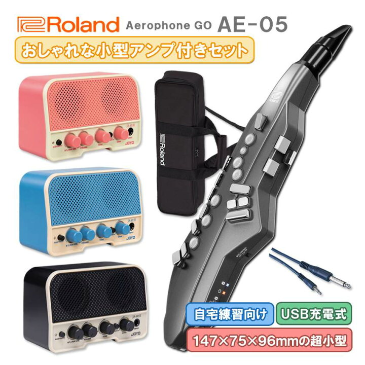 楽天市場】Roland Aerophone GO AE-05【初心者でも簡単に接続 