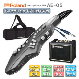 Roland Aerophone GO AE-05【初心者でも簡単に接続できる】日本語表記の操作パネル＆説明書が付いたアンプ付きセット ウインドシンセ デジタル管楽器 電子楽器