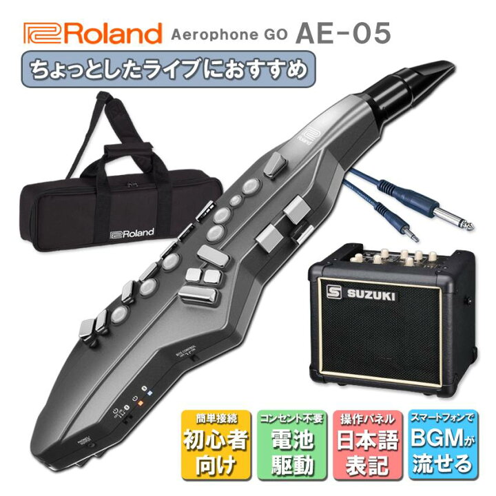楽天市場】Roland Aerophone GO AE-05【初心者でも簡単に接続できる 