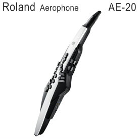 6/5はエントリーで最大P5倍★ローランド エアロフォン AE20　Roland Aerophone AE-20