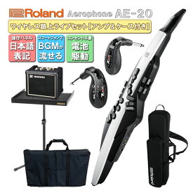 Roland Aerophone AE-20【初心者でも路上ライブが出来る】スピーカースタンド＆ケース 日本語操作パネルのアンプ付き ウインドシンセ デジタル管楽器 電子楽器