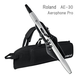 6/5はエントリーで最大P5倍★Roland Aerophone Pro /AE-30 エアロフォン プロ デジタル管楽器 AE30 ローランド エアロホン