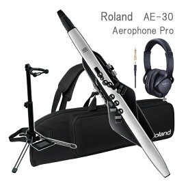 Roland Aerophone Pro /AE-30 エアロフォン プロ デジタル管楽器（ケース/スタンド/ヘッドフォン付き） ローランド エアロホン