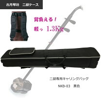 楽天市場】二胡 ケースの通販