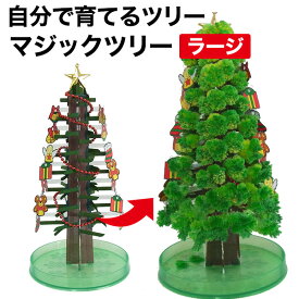 クリスマスツリー 卓上 マジックツリーラージタイプ 自分で育てる不思議なマジッククリスマスツリー