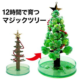 【メール便】クリスマスツリー 卓上 マジック クリスマスツリー 12時間で育つ不思議なクリスマスツリー マジックツリー
