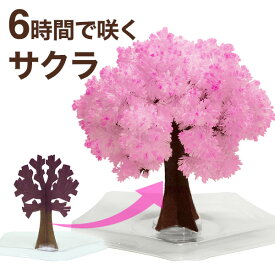 楽天市場 桜 雑貨の通販