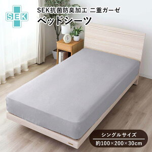 yX[p[Z[聚10%OFF{N[|z [iCg SEK xbhV[c VO 100×200×30 R hL 100 dK[[ SSt S4F MN673060 n ׋ B } n GY GE PA BE e