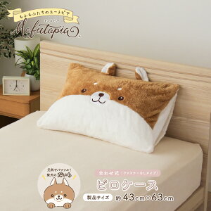 sP[X Č OєL 킢 Jo[ tgsA Moftopia ӂӂ    ɂ L lR ˂ LbY