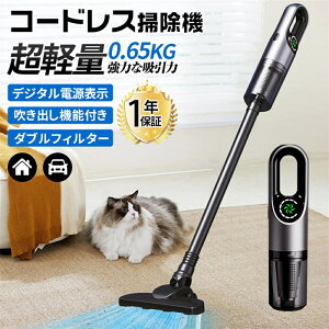 掃除機 コードレス 充電式 強力吸引 人気 サイクロン式 48000Pa 軽量ハンディ掃除機 USB-TypeC充電式 スティック 一人暮らし 省エネ 女性 車両用 2025最新