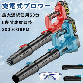 ブロワー 洗車 充電式ブロワー 超強力 コードレス ジェットドライブロワー 電動 エアダスター コードレス ブロアー 小型 軽量 電気エアダスター ターボジェットファン 300000rpm 高速回転 21V互換対応 ハンディー 小型ミニ 暴風 大掃除 電動工具 キーボード 速回転 高耐損性