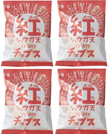 （4個セット）アイデアパッケージ 大阪紅ショウガ天ポテトチップス 100g ×4個（AT）（代引不可）（沖縄・離島への発送は不可）
