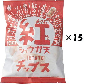 （15個セット）アイデアパッケージ 大阪紅ショウガ天ポテトチップス 100g ×15個（AT）（代引不可）（沖縄・離島への発送は不可）