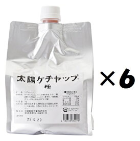 （6袋セット）（KS）太陽ケチャップ 極 1kg(パウチ)×6袋セット（代引・他の商品と混載不可）（沖縄・離島への発送は不可）